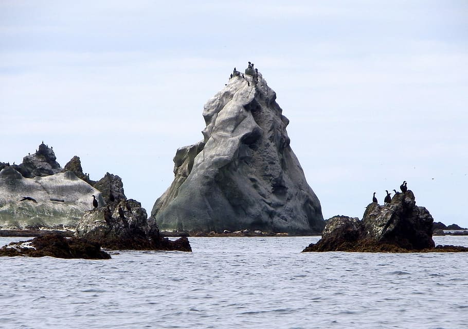 Bird Colonies, Rocks, islands in the ocean, bay, gulls, guillemots, HD wallpaper
