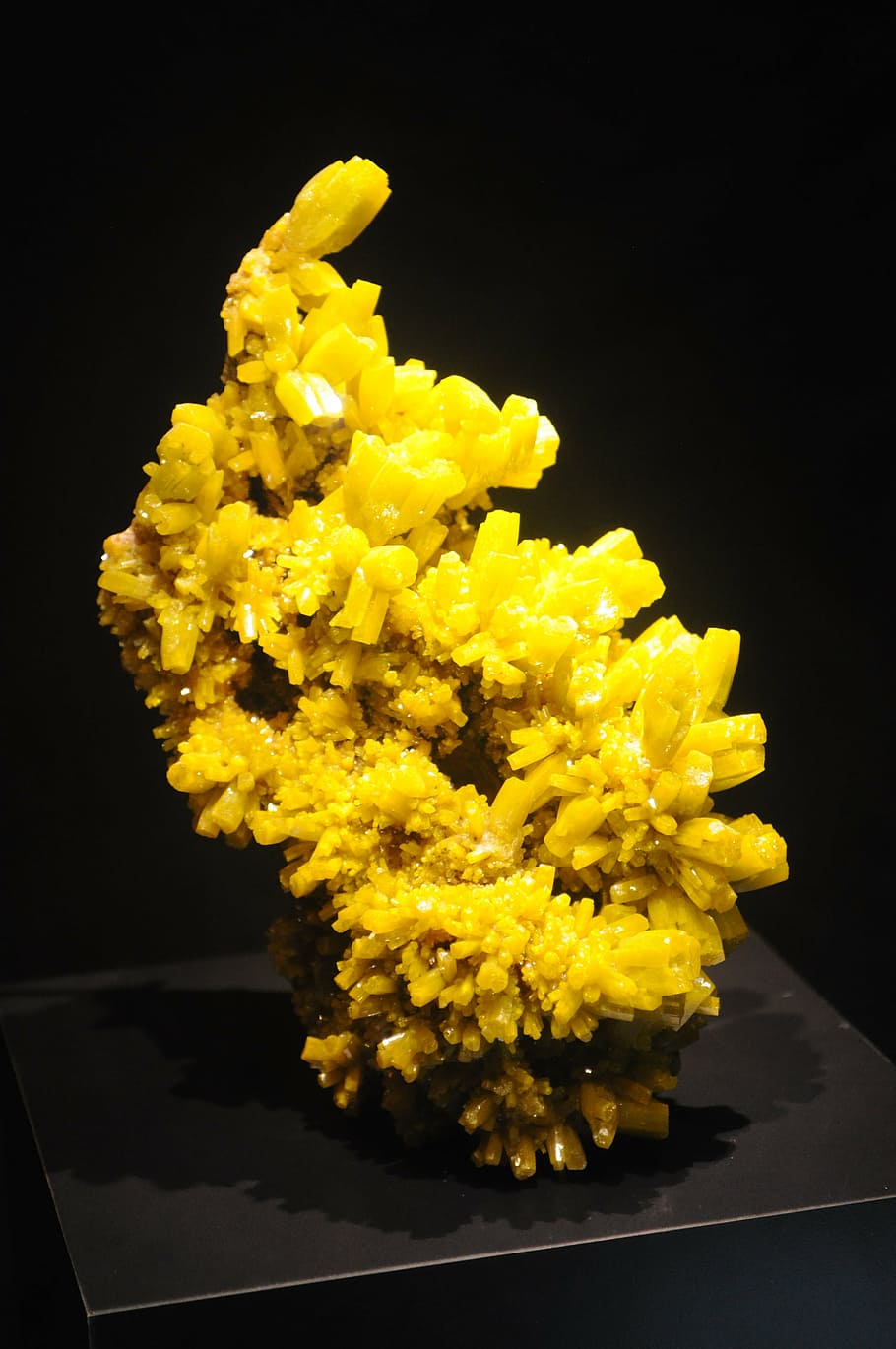 gemstone, yellow stone, treasure, bright, flower, indoors, freshness HD wallpaper