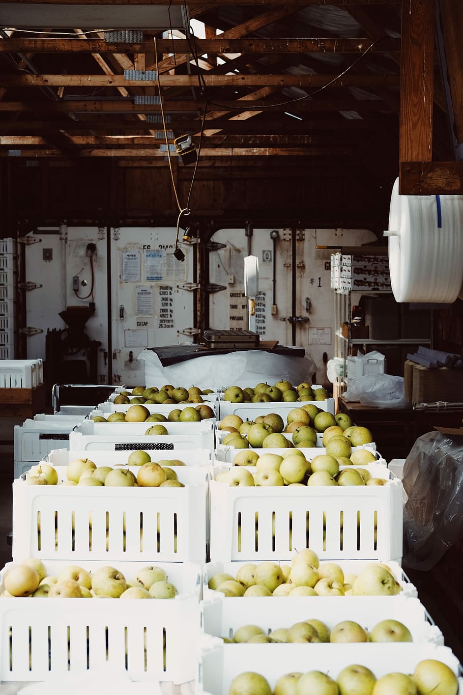 crate of apple lot, round green fruits on white plastic tray lot HD wallpaper