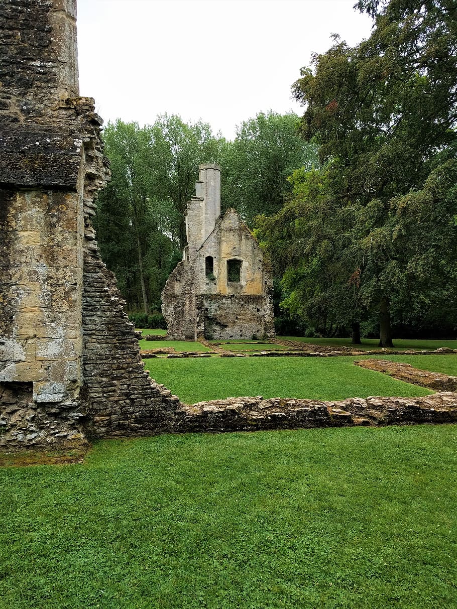 concrete building ruins near trees, tower, love, ancient, lush HD wallpaper