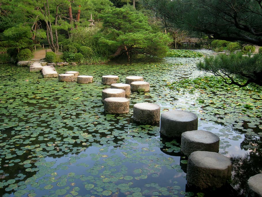 body of water with water lilies and stones surrounded by trees