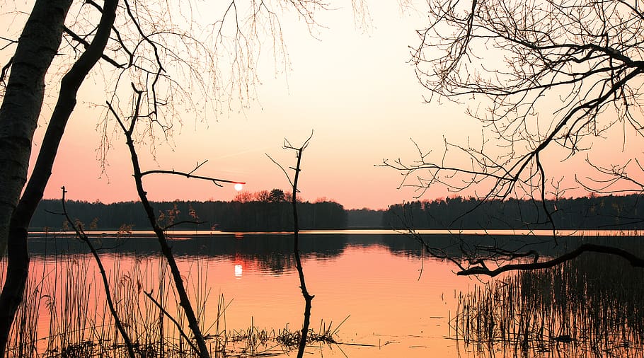 waters, nature, dawn, tree, lake, sunset, reflection, sky, tranquility HD wallpaper