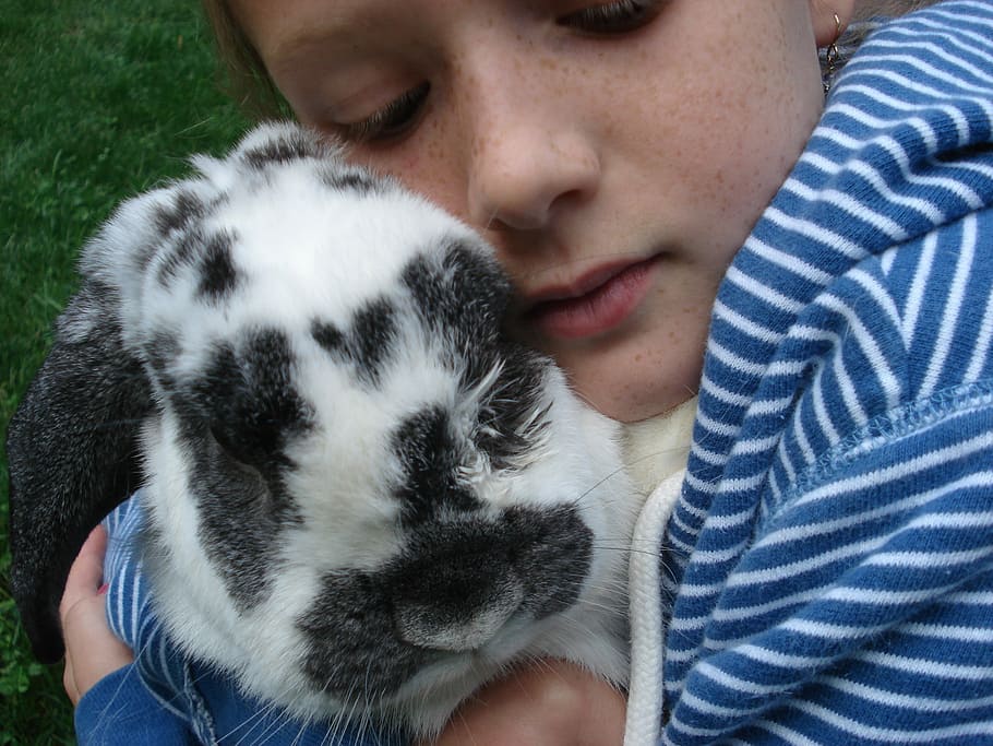 toddler hugging rabbit on green grass, Girl, Love, Easter, Child