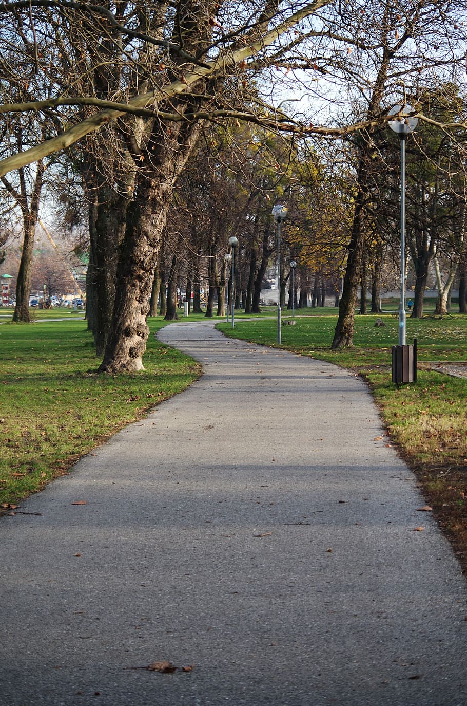 park, walkway, path, tree, plant, direction, the way forward HD wallpaper