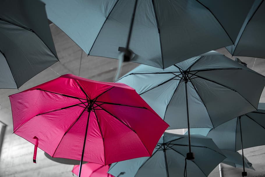 assorted umbrellas hanging on ceiling, grey and red umbrellas HD wallpaper