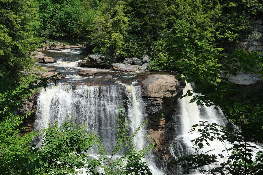 stream, river, waterfall, cascade, nature, landscape, forest HD wallpaper