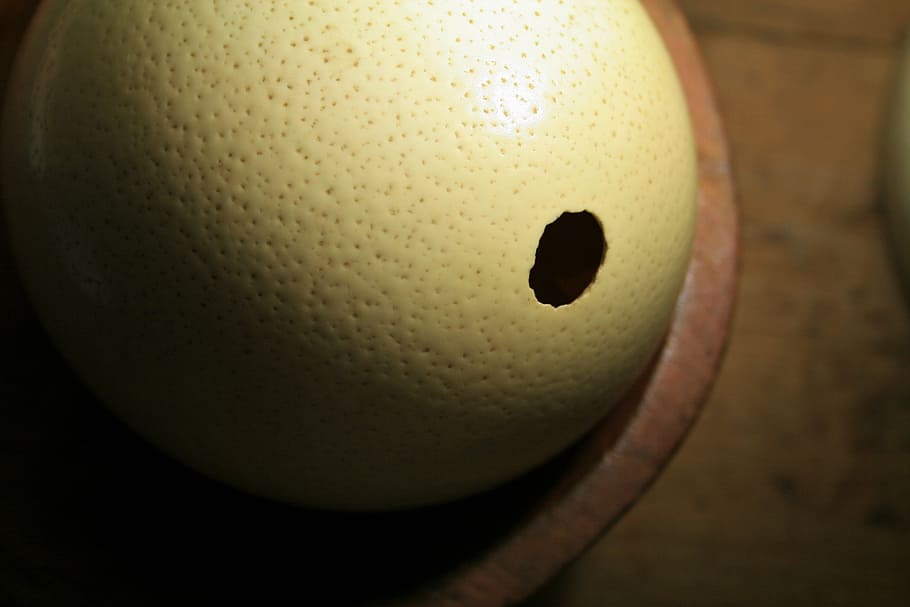 ostrich egg, shell, buff, dimpled, strong, opening, close-up HD wallpaper