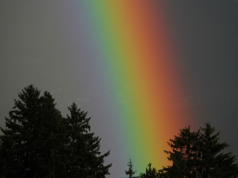 Rainbow, Landscape, Sky, tree, multi colored, silhouette, weather HD wallpaper