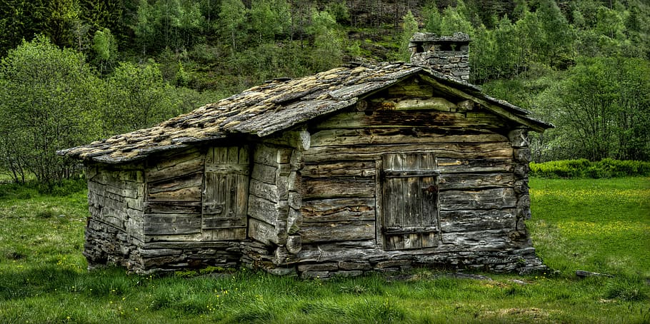 brown and gray wooden cabin surrounded by grass, tree log, rustic HD wallpaper
