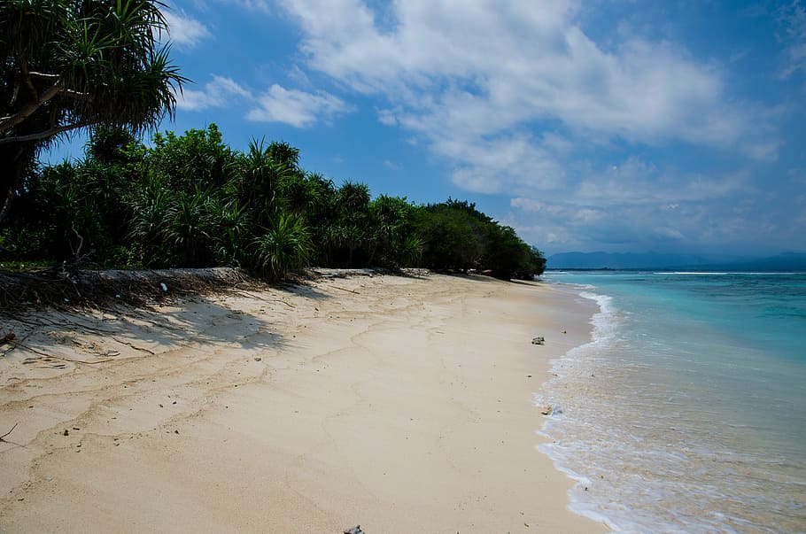 green trees near body of water during day time, sea, waves HD wallpaper