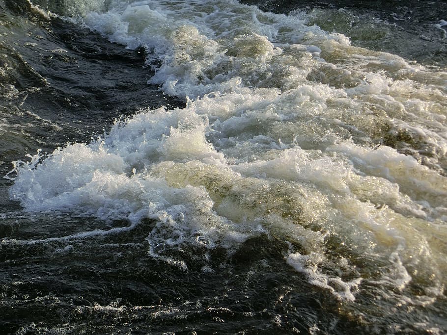 wave, spray, water, murmur, beach, sea, beauty in nature, motion HD wallpaper