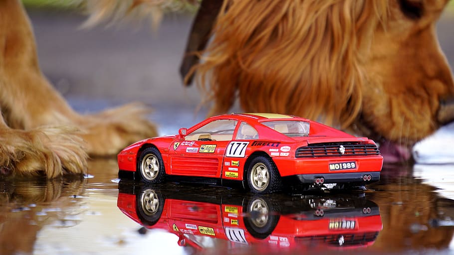 Car, Model, Vehicle, Small, Reflection, automobile, red, transportation HD wallpaper