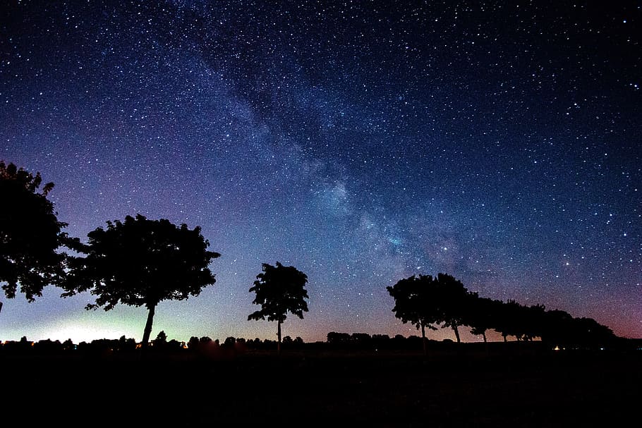 silhouette of trees with starry skies, over the horizon, milky way HD wallpaper