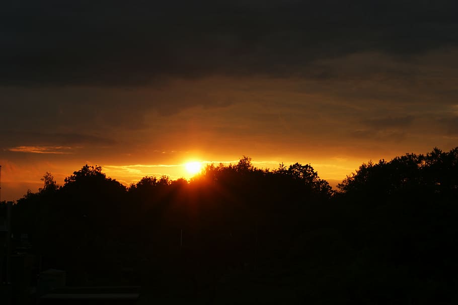 sunset, sky, light, landscape, nature, dusk, evening sky, tree HD wallpaper