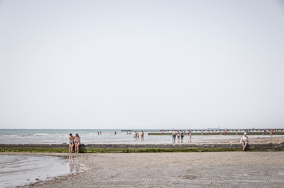 several people walking on seashore, people on shoreline, Vacation HD wallpaper