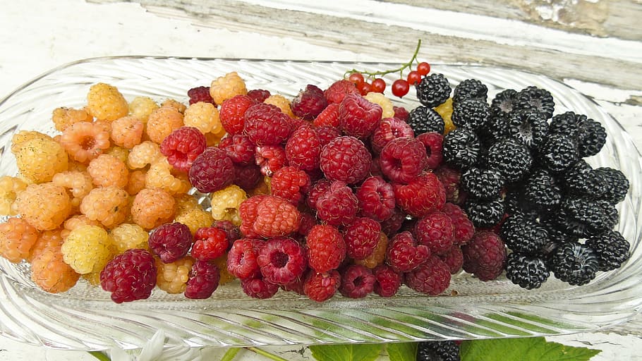 berry, raspberry, blackberry, grade, summer, food, food and drink HD wallpaper
