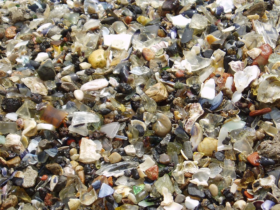 Shells, Pebbles, Beach, Stones, Seashell, seashells, decorative HD wallpaper