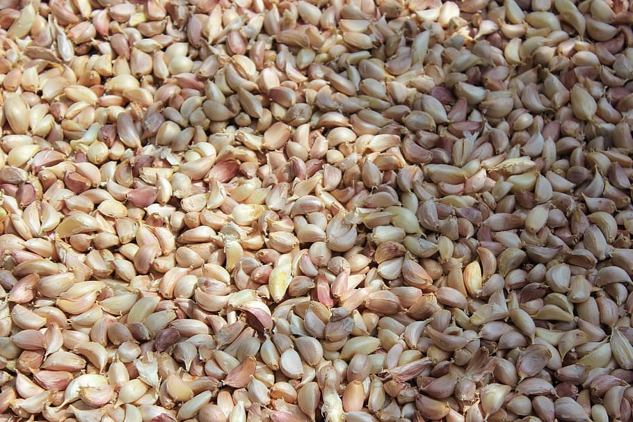 garlic, herb, food, food and drink, full frame, backgrounds HD wallpaper