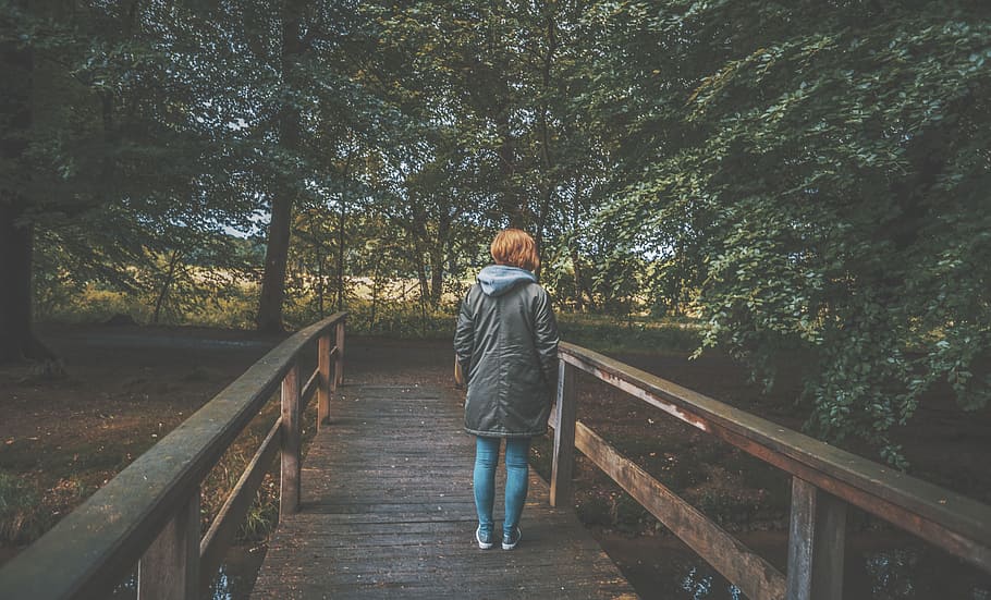 trees, plants, nature, park, environment, wood, bridge, landscape HD wallpaper