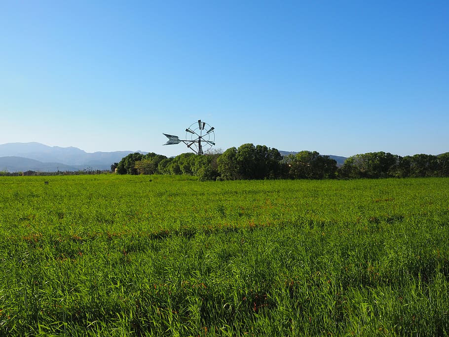 windmill, mallorca, muro, wind energy, wing, wind power, plant HD wallpaper