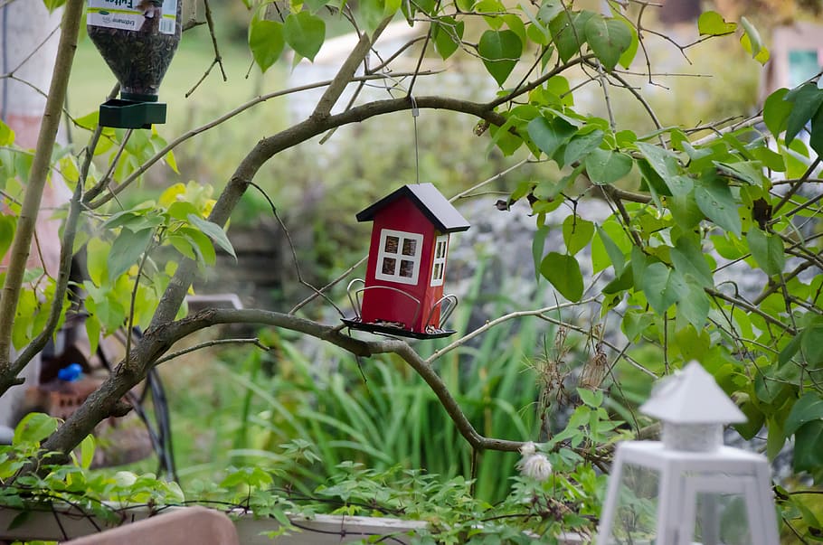 Garden Miniatures