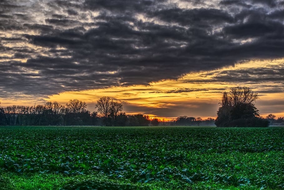 sunset, clouds, mood, drama, field, green, nature, landscape HD wallpaper