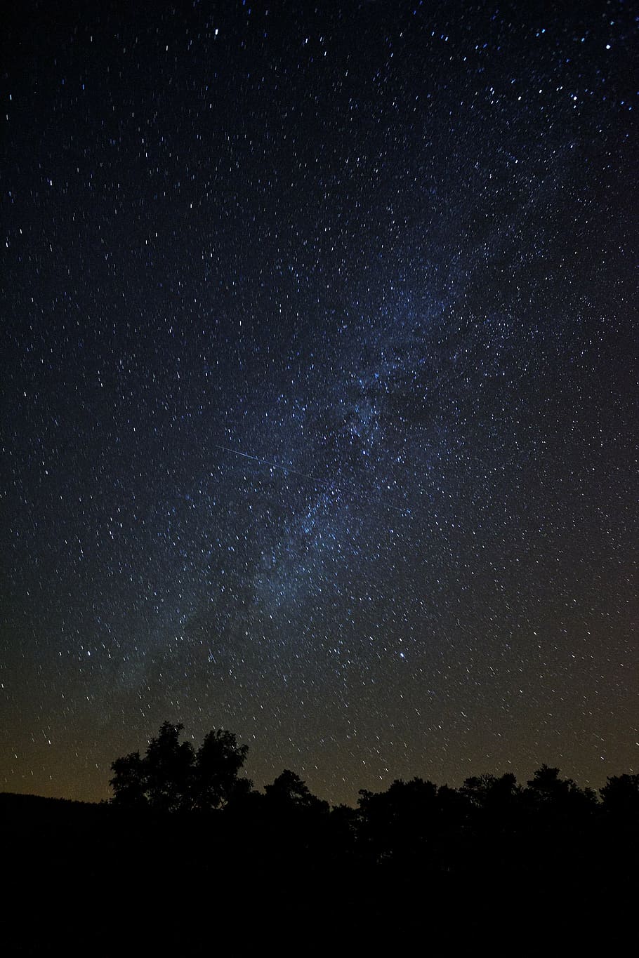 constellation, galaxy, night, sky, stars, trees, astronomy HD wallpaper