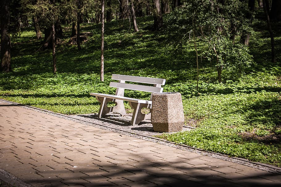 bench, park, spacer, rest, plant, tree, nature, growth, no people HD wallpaper