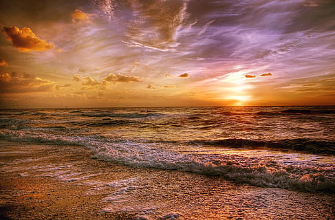 brown seashore and body of water waves under brown clouds and gray sky HD wallpaper