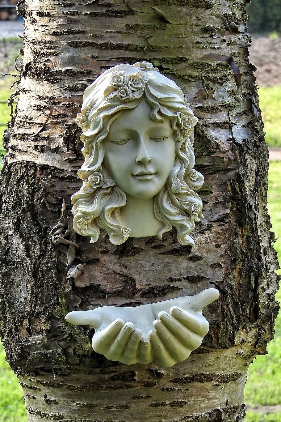tree, bird bath, figure, statue, sculpture, religion, no people HD wallpaper