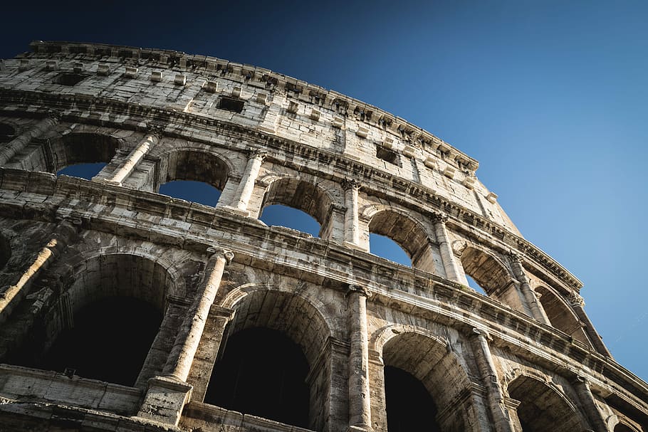 low angle photo of The Colosseum, The Colosseum, Italy, rome HD wallpaper