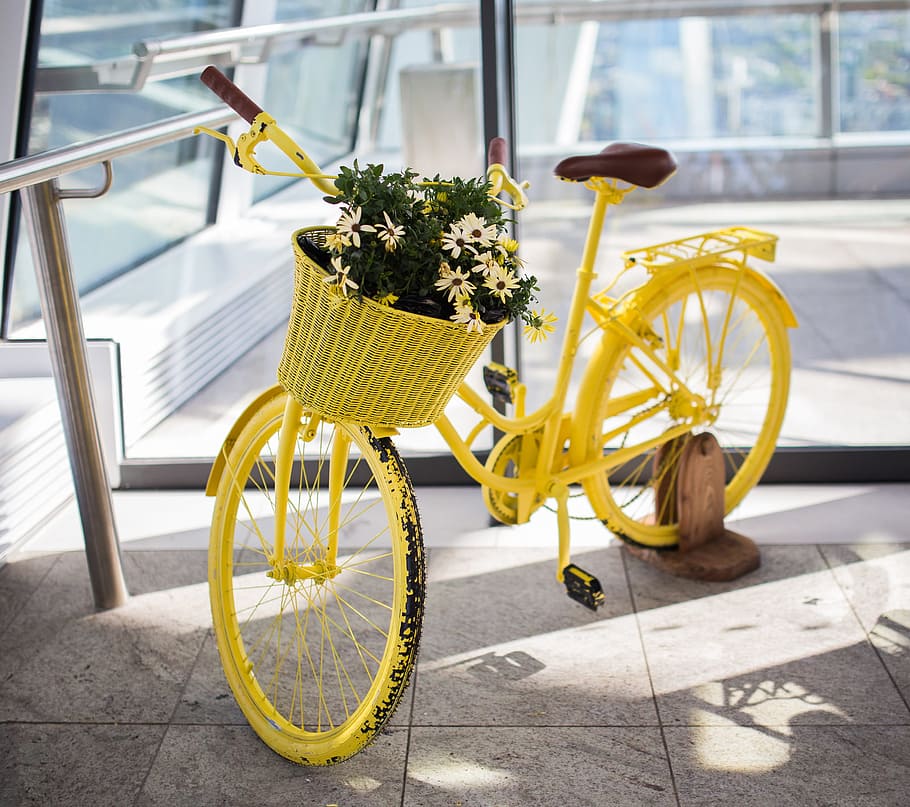 Yellow Bike Plants Flowers, nature, bicycle, transportation, street, HD wallpaper