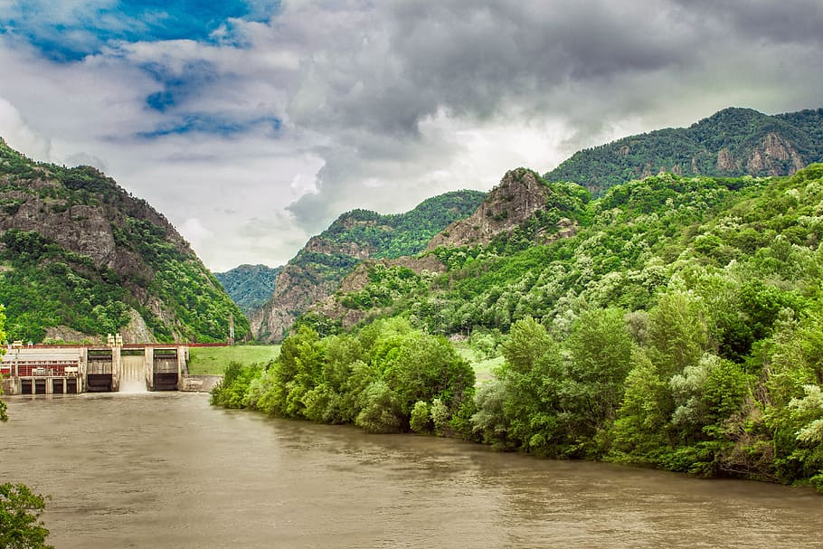 tree, plant, blue, sky, clouds, nature, river, water, flood HD wallpaper