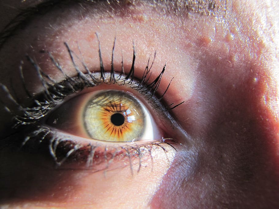 eye, macro, szupermakró, iris, watch, eyelash, skin, human eye HD wallpaper