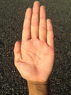 palm, hand, finger, bleaching, palm reading, young, japanese HD wallpaper