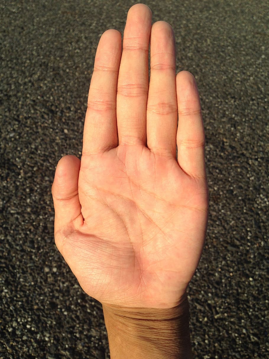 palm, hand, finger, bleaching, palm reading, young, japanese HD wallpaper