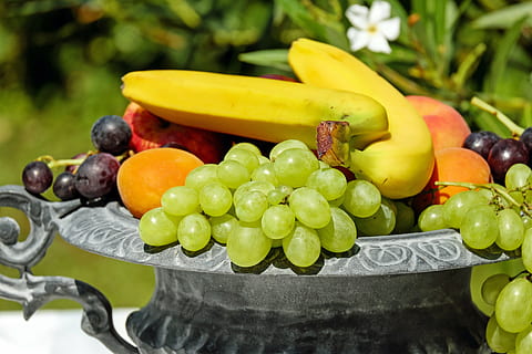 assorted fruits in gray steel container, fruit bowl, shell HD wallpaper