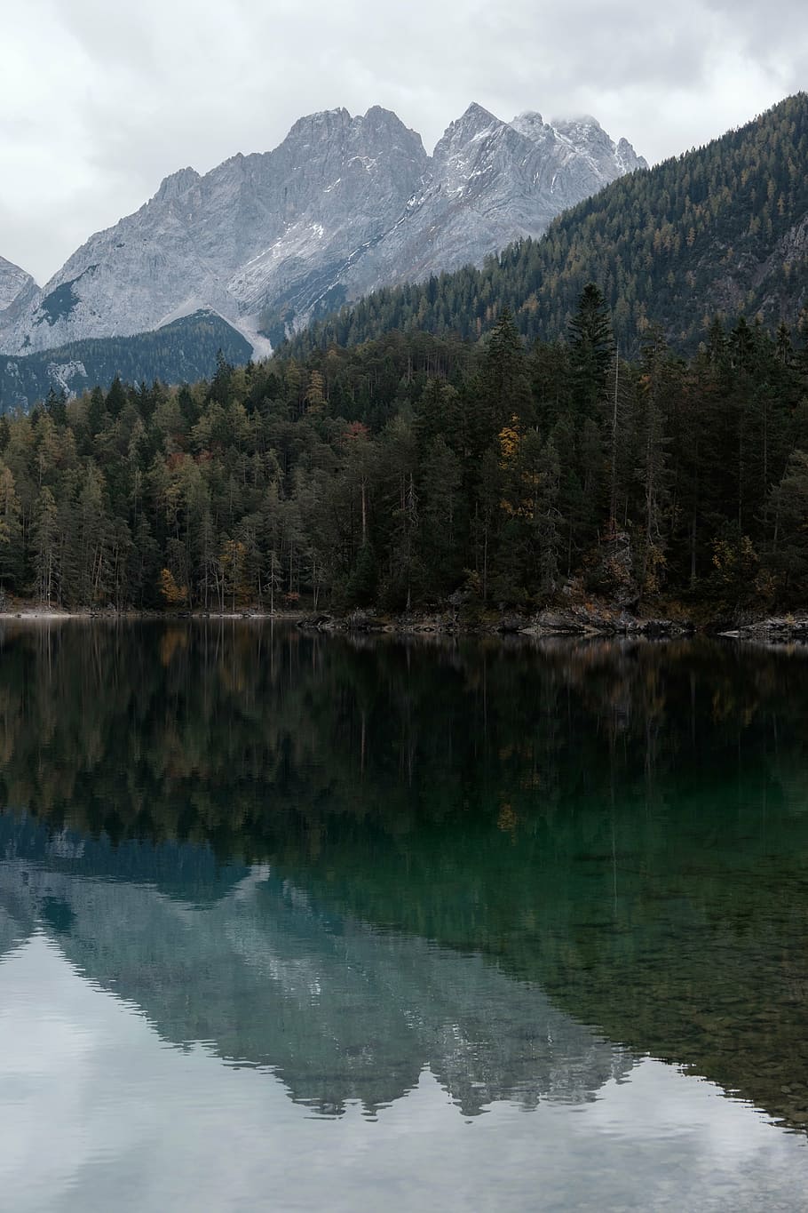 green pine trees on mountain near lake shore at daytime, surrounded HD wallpaper
