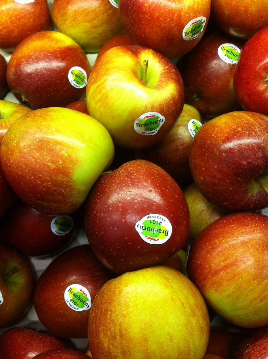 apples, healthy, fruit, diet, fresh, organic, vegetarian, eating HD wallpaper
