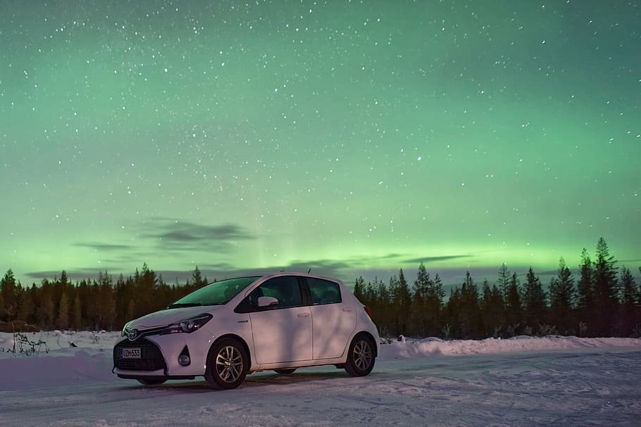 white Toyota Auris hatchback in a distance of pine trees, door HD wallpaper