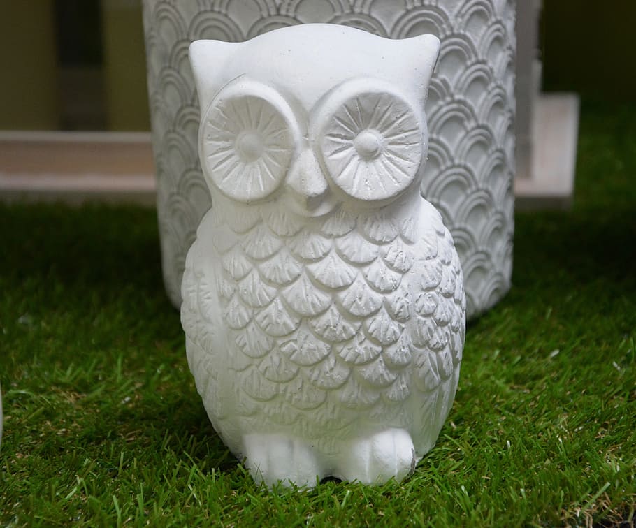 owl, object decoration, owls, plaster, white, grass, plant HD wallpaper