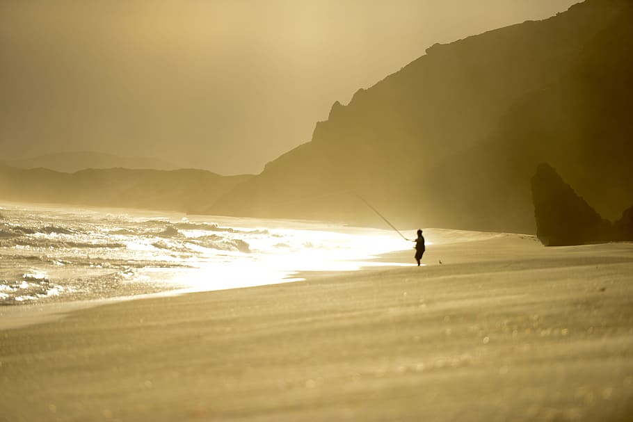 focus photo of person holding black fishing rod on gray sea shore during golden hour HD wallpaper