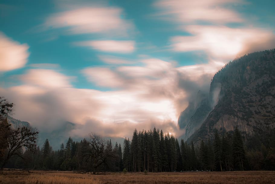 green pine trees near mountain under white clouds at daytime, black bare trees near mountain HD wallpaper