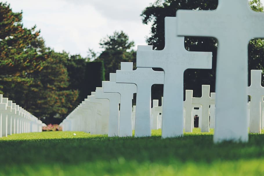 cemetery, cross, grass, graveyard, plant, green color, tree HD wallpaper