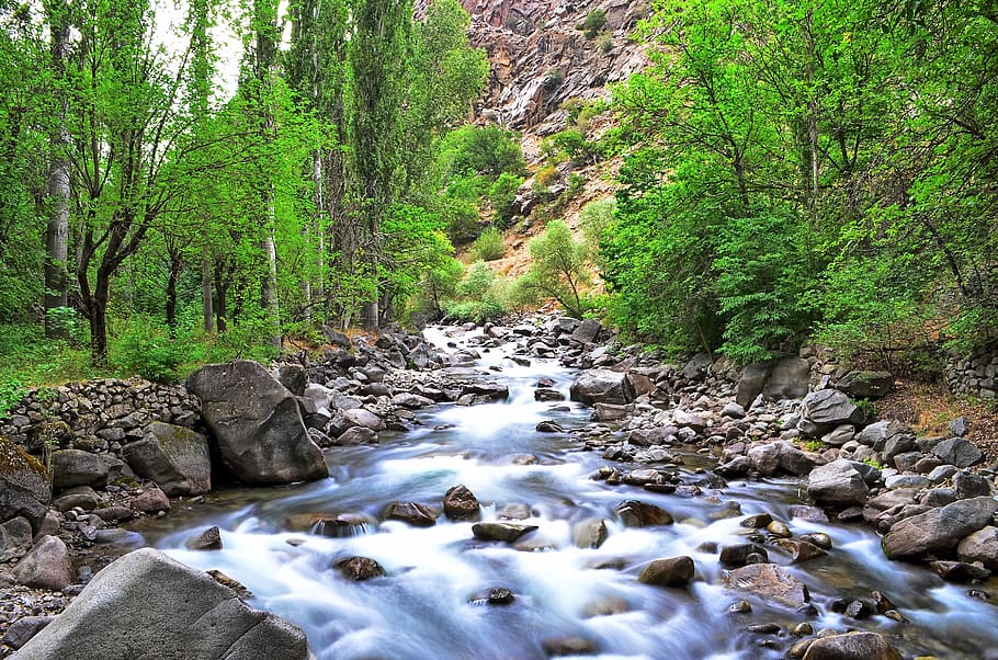 river, landscape, turkey, nature, green, open air, ispir, black sea HD wallpaper