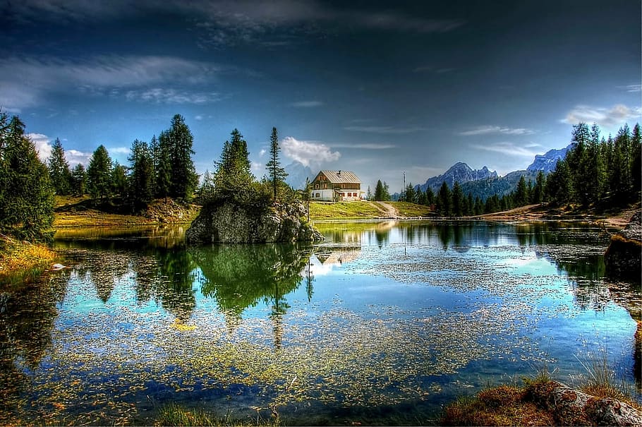 lake and trees scenery, lago federa, dolomites, nature, alpine, HD wallpaper