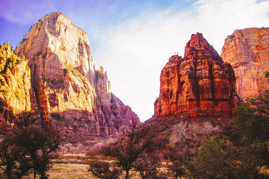 desert, canyons, trees, nature, outdoors, sunny, sky, landscape HD wallpaper