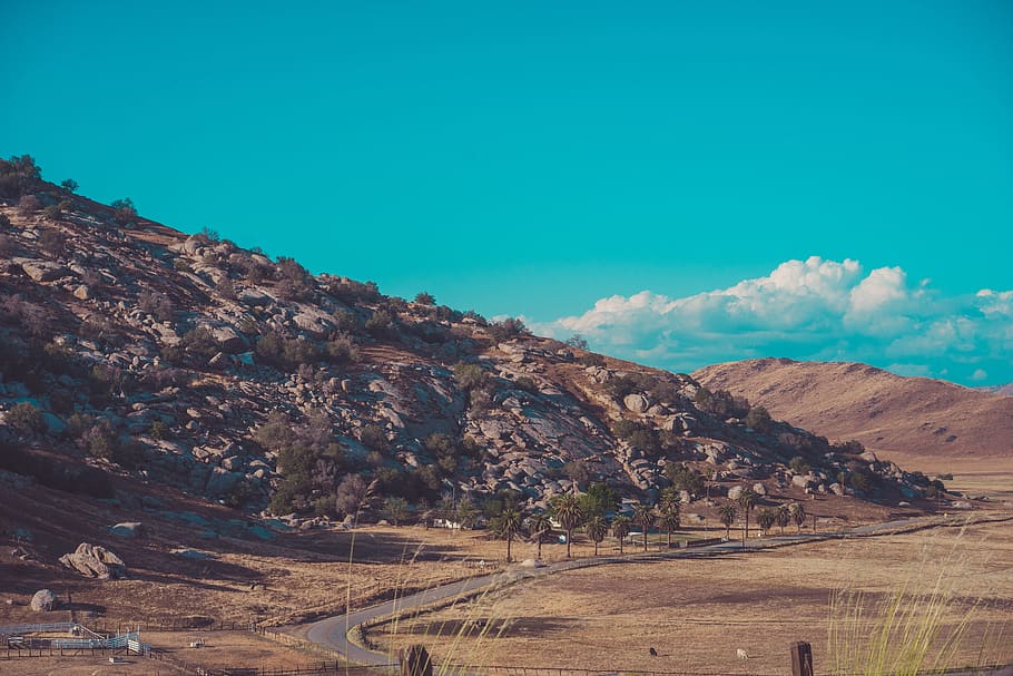 Landscape, Hill, Slope, Road, side, street, narrow, dry, grassland HD wallpaper