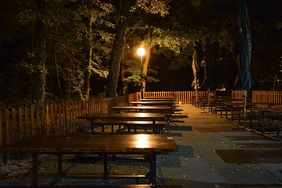 night, pub, night pub, tables, emptiness, light, trees, tavern HD wallpaper