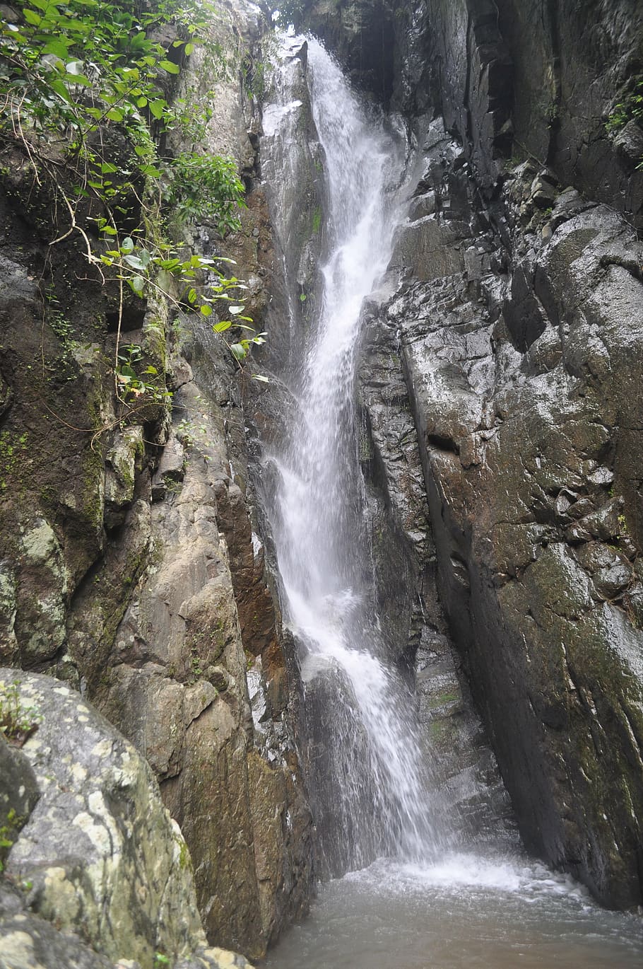 waterfall, nature, bali, forest, wild, cascade, outdoor, peaceful HD wallpaper